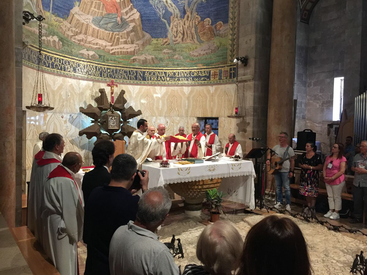 Pellegrinaggio in Terra Santa 2019