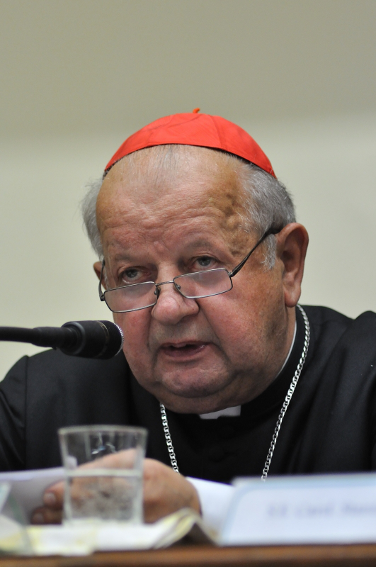 Card.+Stanislaw+Dziwisz