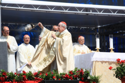 37a Convocazione Rinnovamento con Papa Francesco - S.E.R. card. Stanislaw Rylko - Clicca per ingrandire...